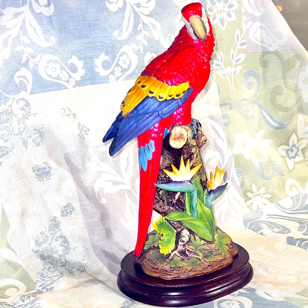 Red Macaw